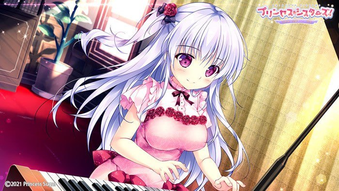 【PC电脑】公主☆姐妹们!~四姐妹全是你的未婚妻~【拔作ADV/全CG存档】汉化版