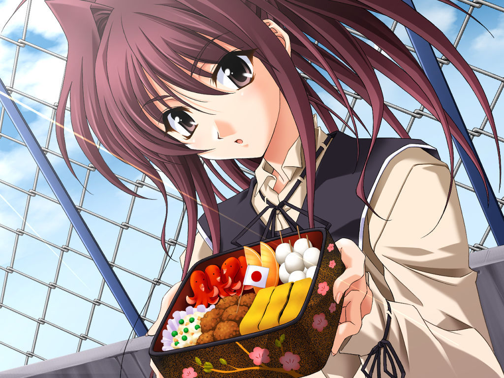 【PC电脑+ONS】秋之回忆4-从今以后/Memories Off ~それから~【GALgame/恋爱/AVG】汉化版