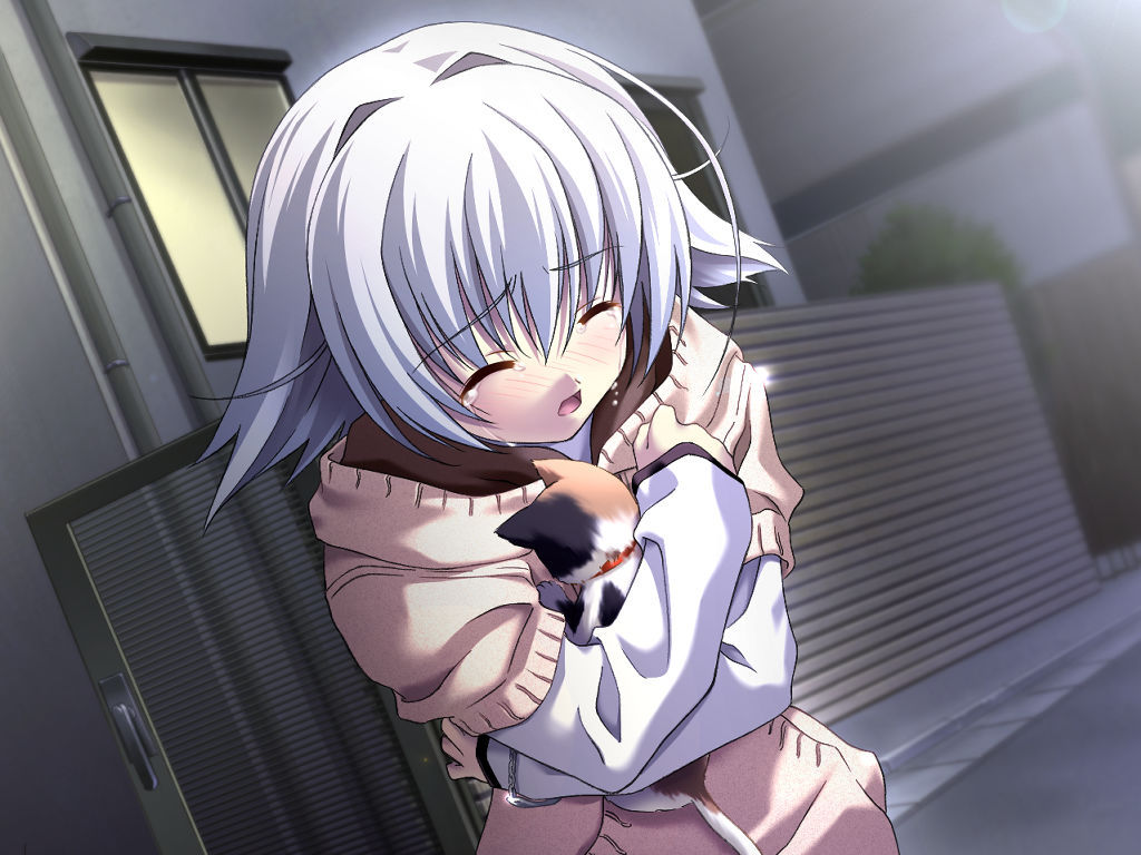 【PC电脑+ONS】秋之回忆4-从今以后/Memories Off ~それから~【GALgame/恋爱/AVG】汉化版