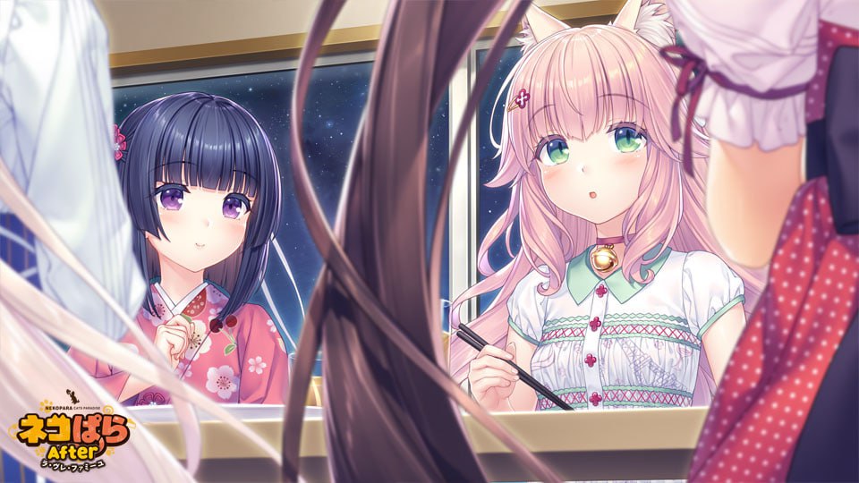 【PC电脑+KR】猫娘乐园After La Folie Familiale【ADV/2D/猫娘】官中